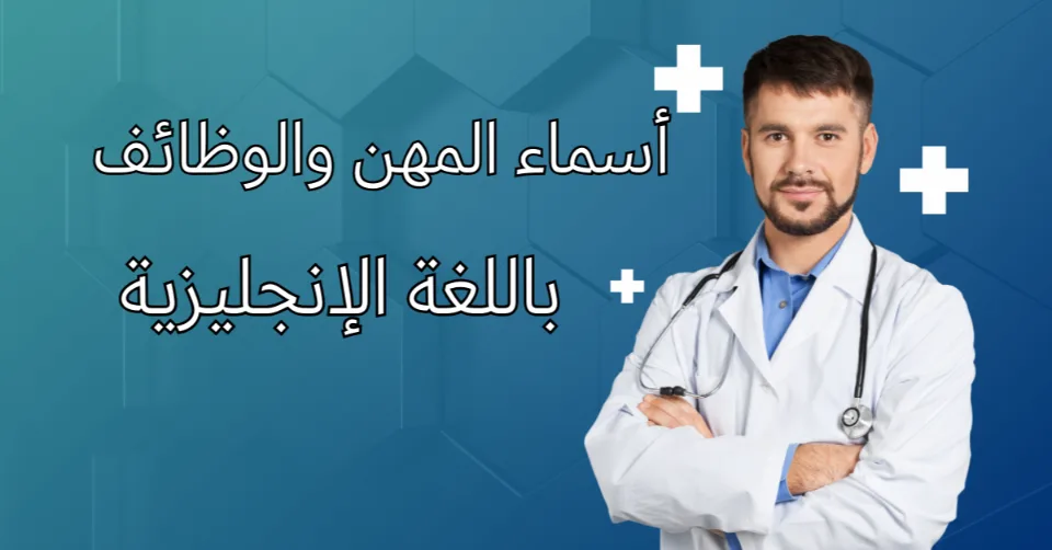 أسماء المهن والوظائف باللغة الإنجليزية | دليلك الشامل لاكتساب مفردات العمل بسهولة 2 قائمة بأشهر أسماء الوظائف والمهن باللغة الإنجليزية مع الترجمة , أسماء المهن والوظائف باللغة الإنجليزية